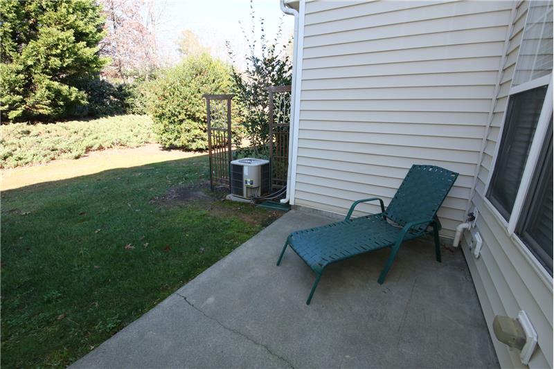 Privacy on the Patio