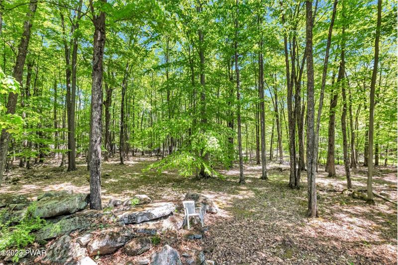 Private wooded lot