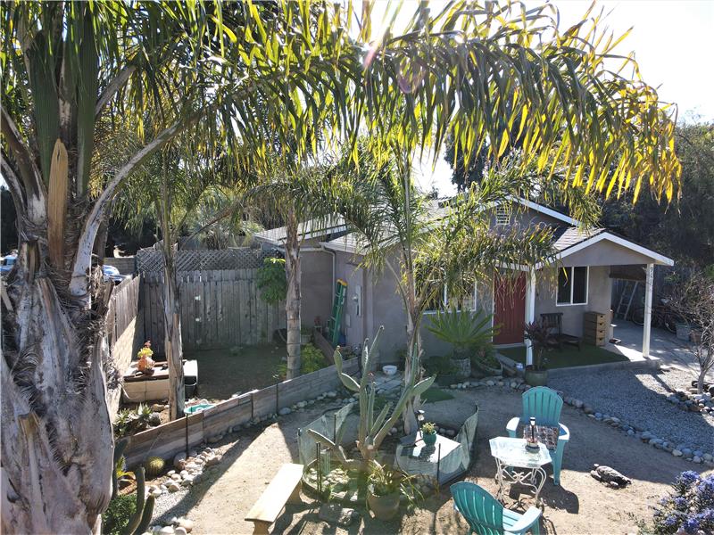 Many valuable Palm Trees adorn this property, but not just Palms.  Many trees and plants will remain with the property!