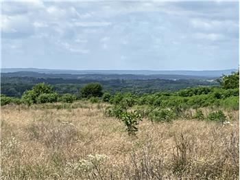 923 Sand Stone Ridge Road, Charleston, AR