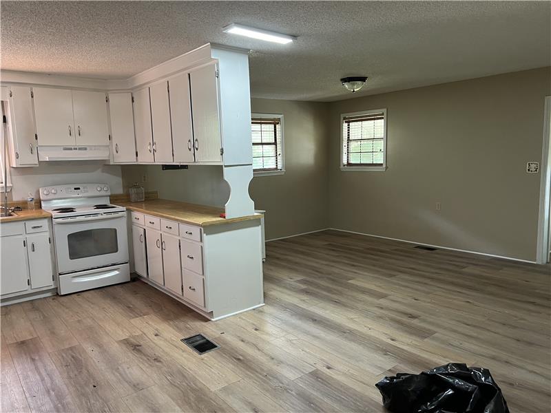 Open Kitchen/Dining/Living Room