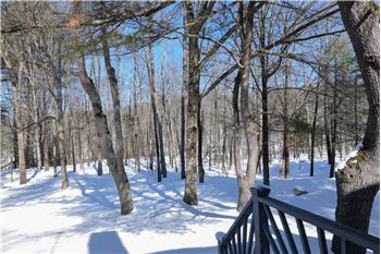 View seen from front door