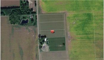 Primary listing photos for listing ID 335990