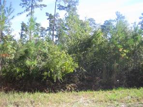 Fowler School Rd