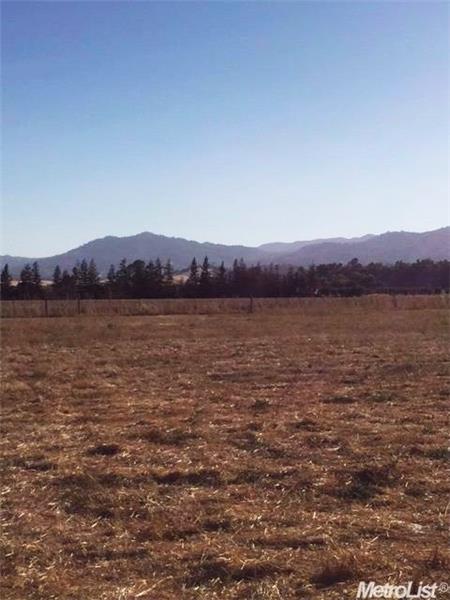 Wide open space to use for Pasture or to develop your vision.