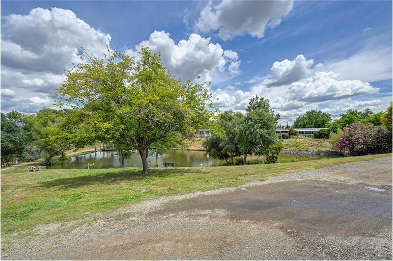 
                            Property Image 81