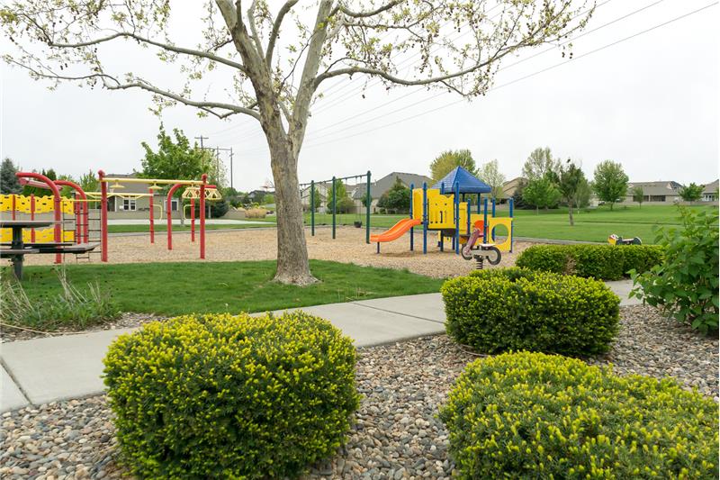 Plenty of places to play outdoors!