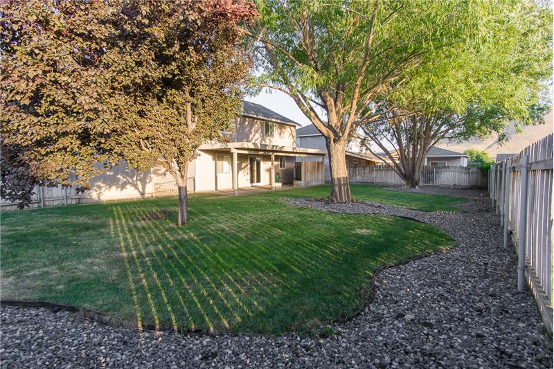 West-Facing Back Yard