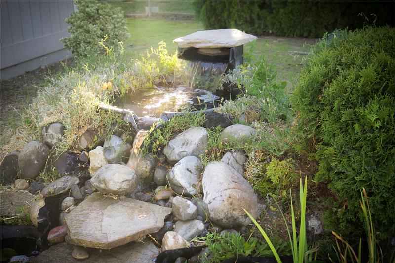 Peaceful Waterfall feature