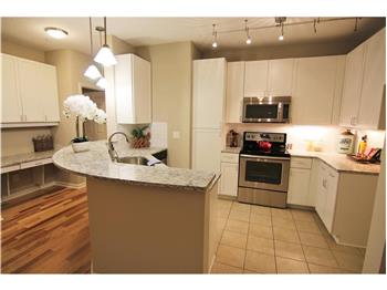 Primary listing photos for listing ID 458537