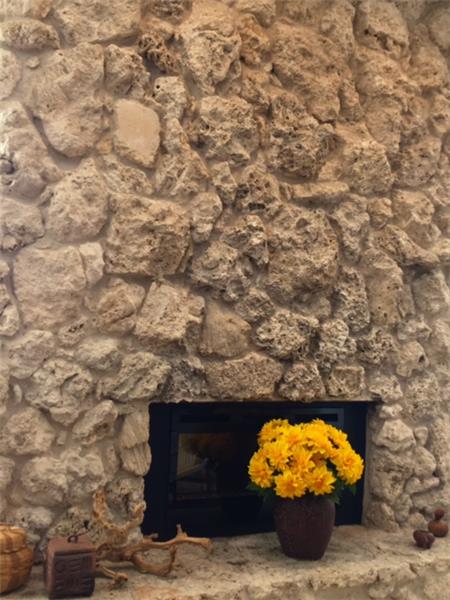 Coral Stone Fireplace 