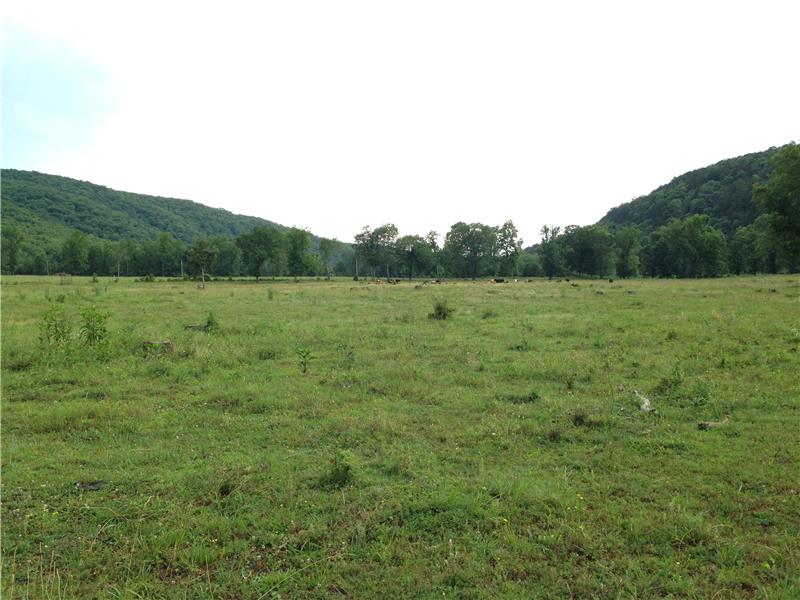 pastureland  grazes 40-60 cows