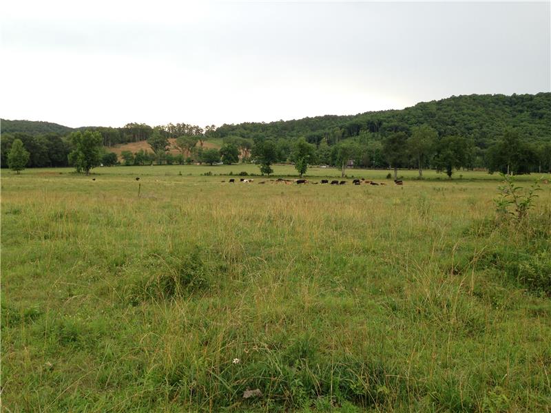 view of home from pasture looking south