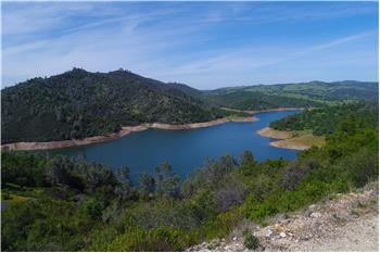 Primary listing photos for listing ID 452733