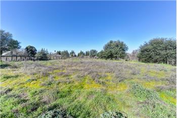 Primary listing photos for listing ID 502018