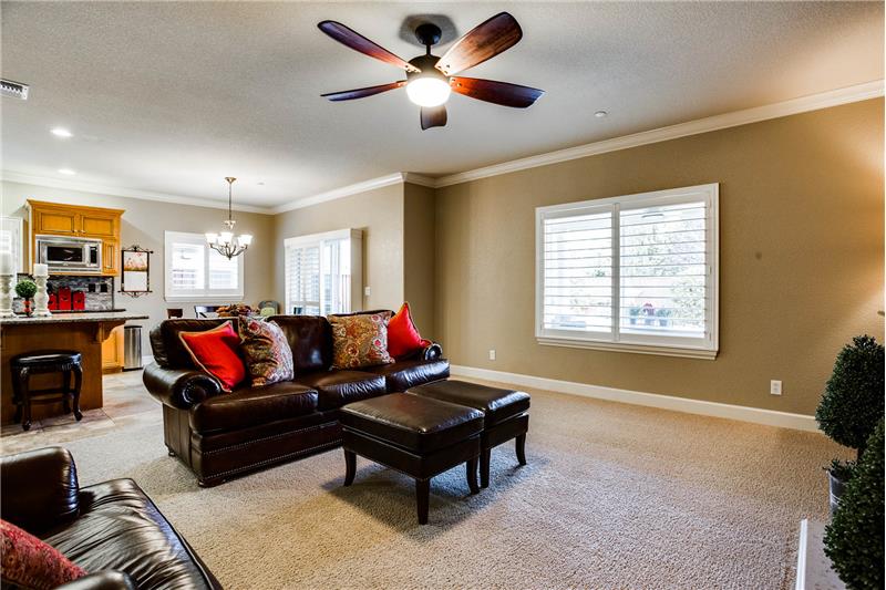 ceiling fan in the family room