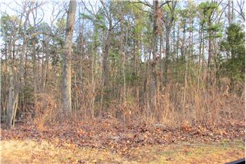 Primary listing photos for listing ID 424410