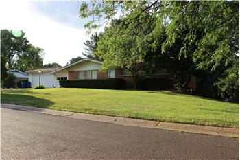 Primary listing photos for listing ID 481319