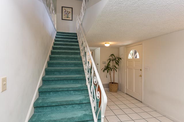 Stairway w/Carpeted Steps