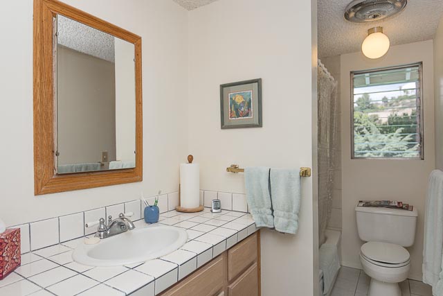 Upstairs Hall Bathroom
