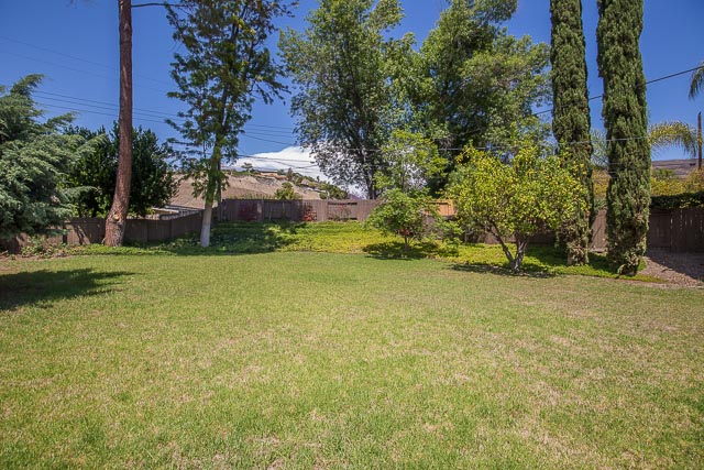 Large Backyard