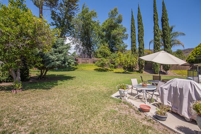 Grassy Yard