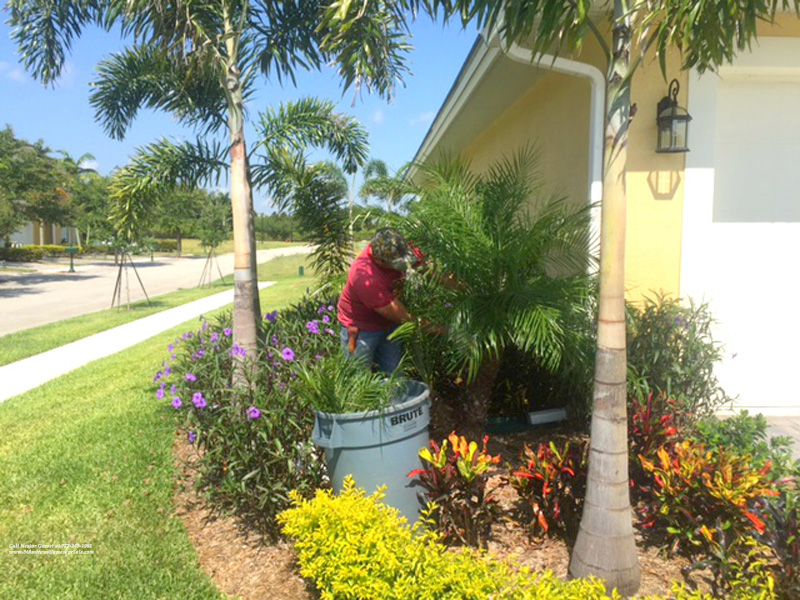 St. Andrews Lawn Maintenance