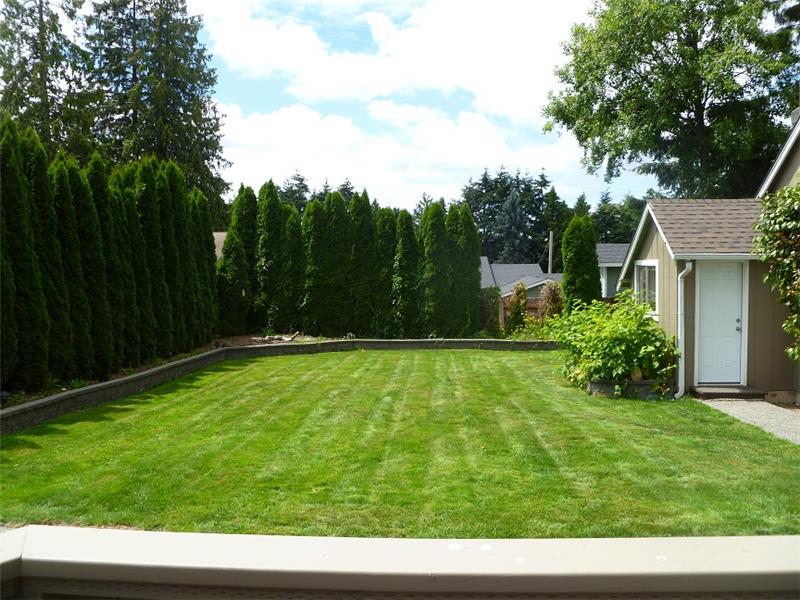 BIG Back Yard