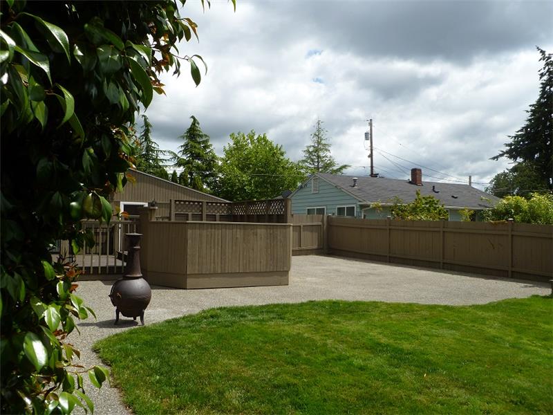 Back Yard