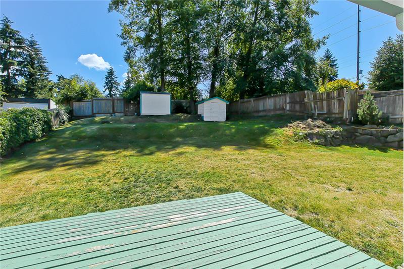 Giant Back Yard