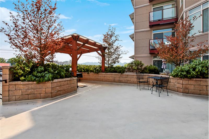 View out from patio