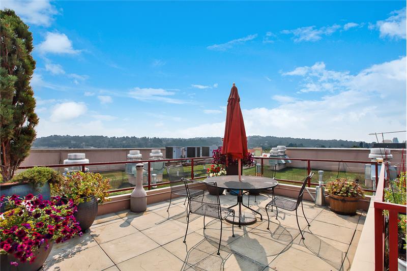 Roof top deck with 360 view, complete with garden, tables, and grill!