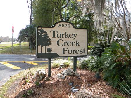 Turkey Creek Forest in Gainesville