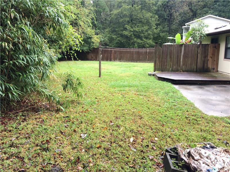 Back Yard
