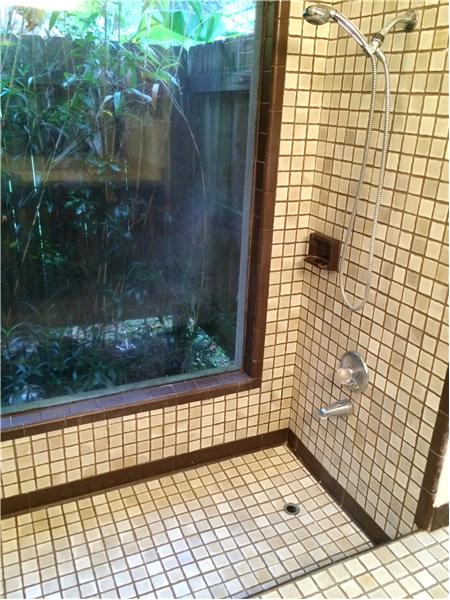 Master Sunken Shower