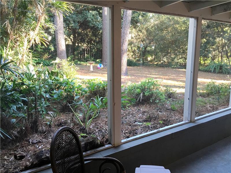 Patio View