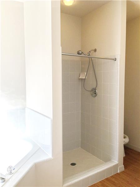 Master Shower
