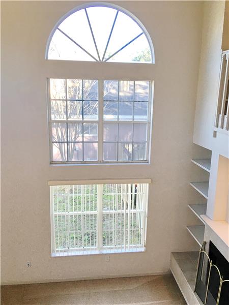 Soaring Ceiling in Living Room