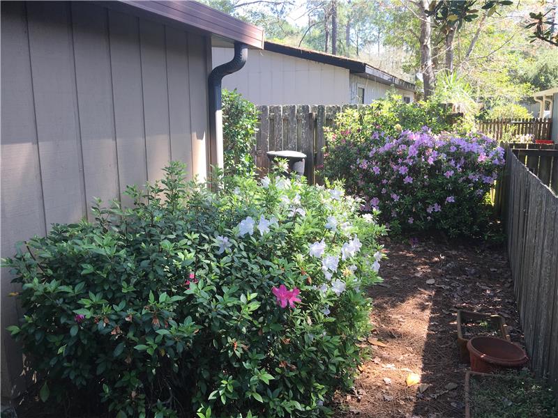 Side Yard
