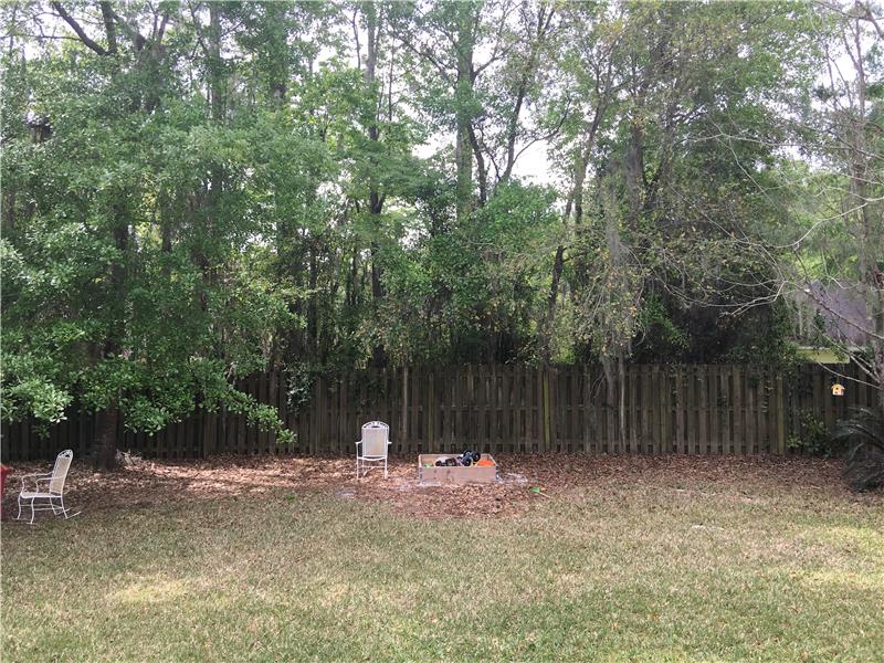 Fenced Back Yard