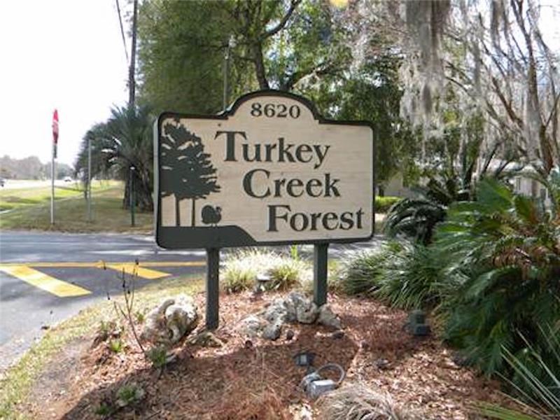 Turkey Creek Forest