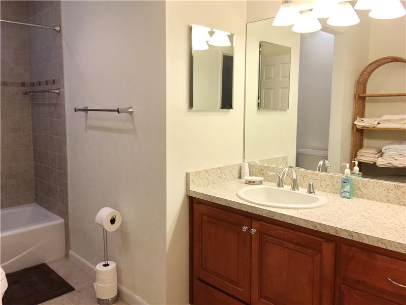 Guest Bath