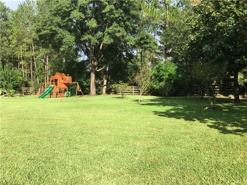Back Yard View