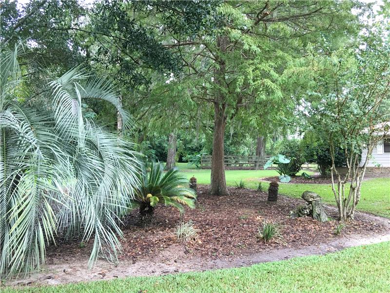 Professional Landscape
