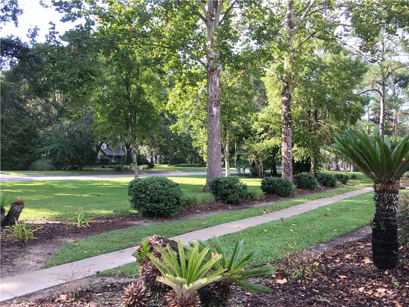 Front Lawn