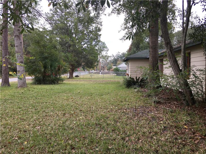 Front Yard