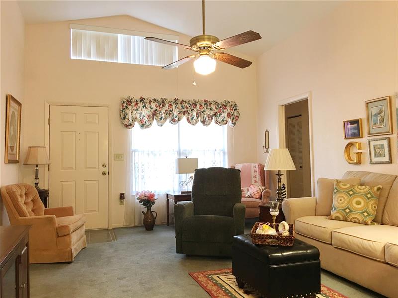 Living Room with Vaulted Ceiling