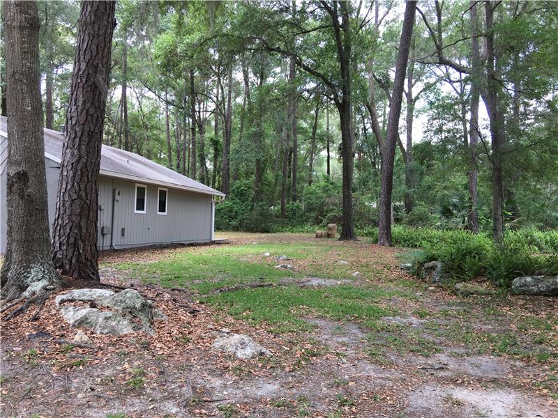 North Side Yard