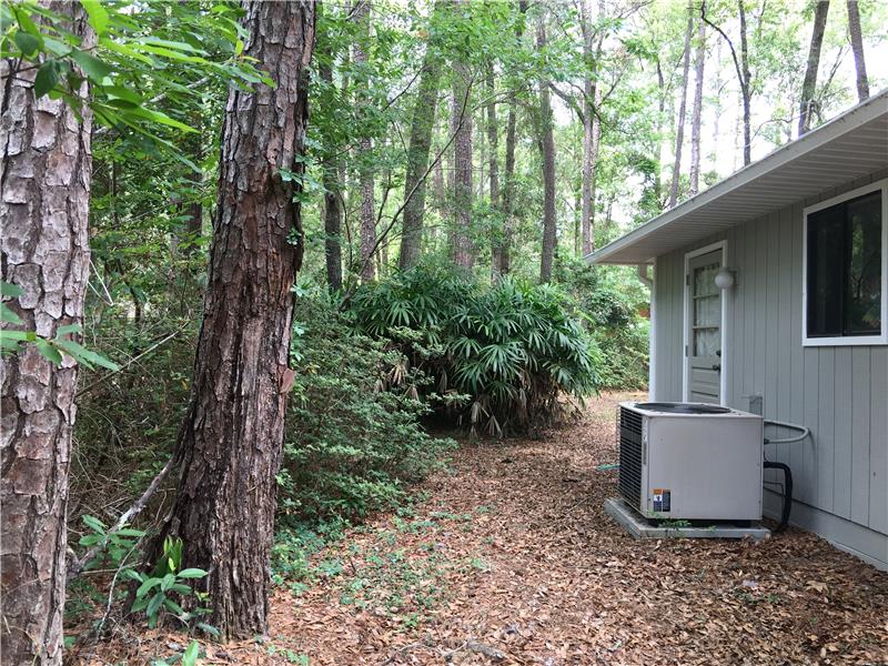South Side Yard