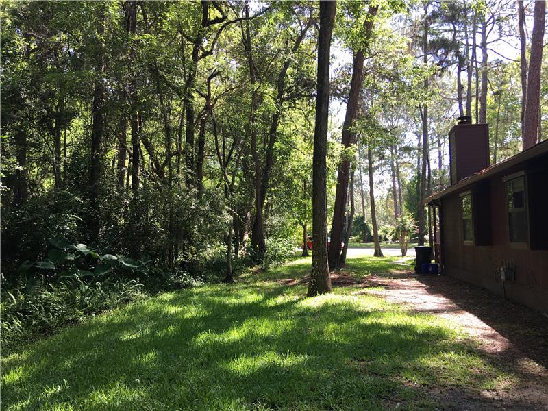 Side Yard